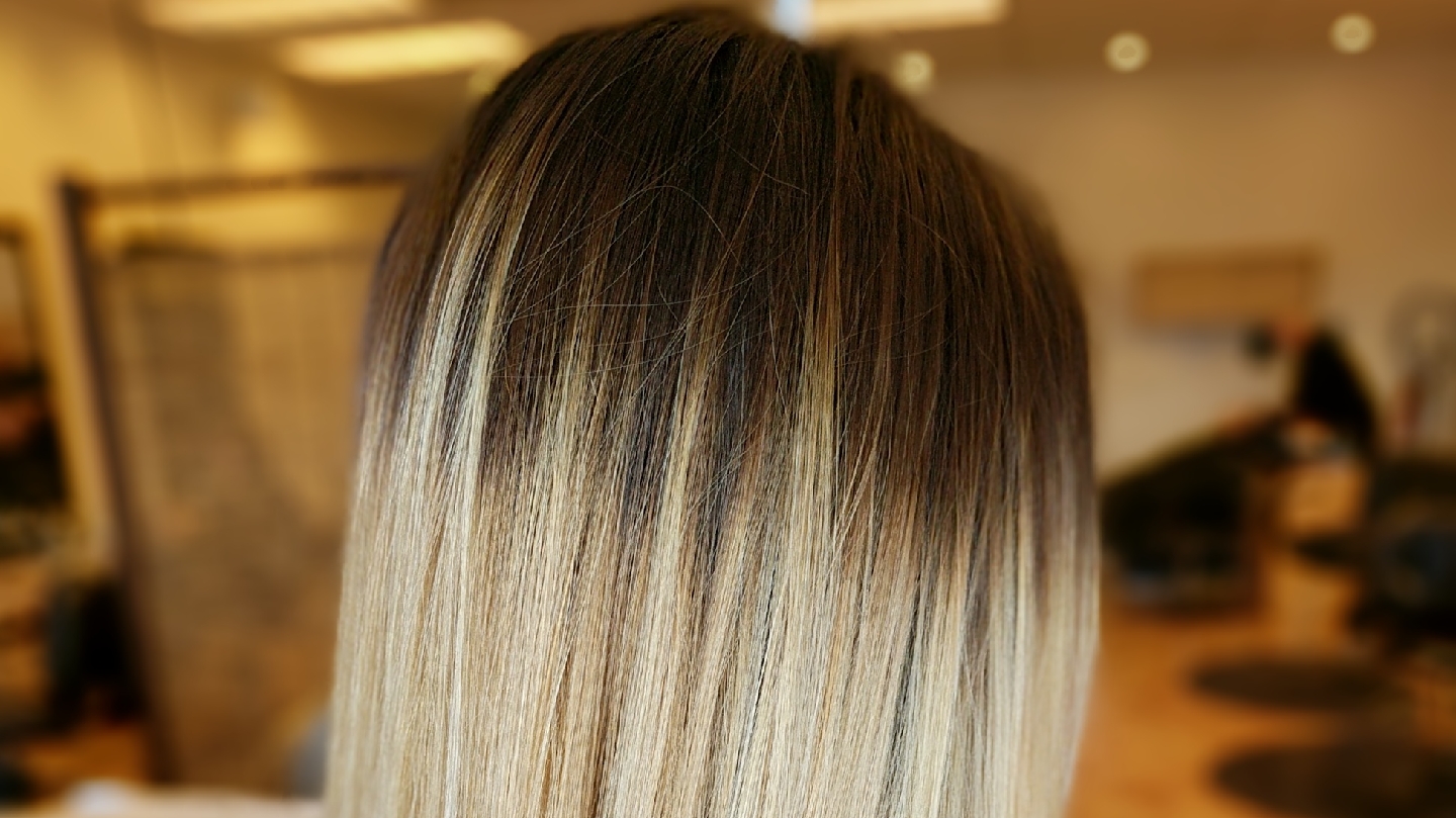 Amo Salon in Canton Township