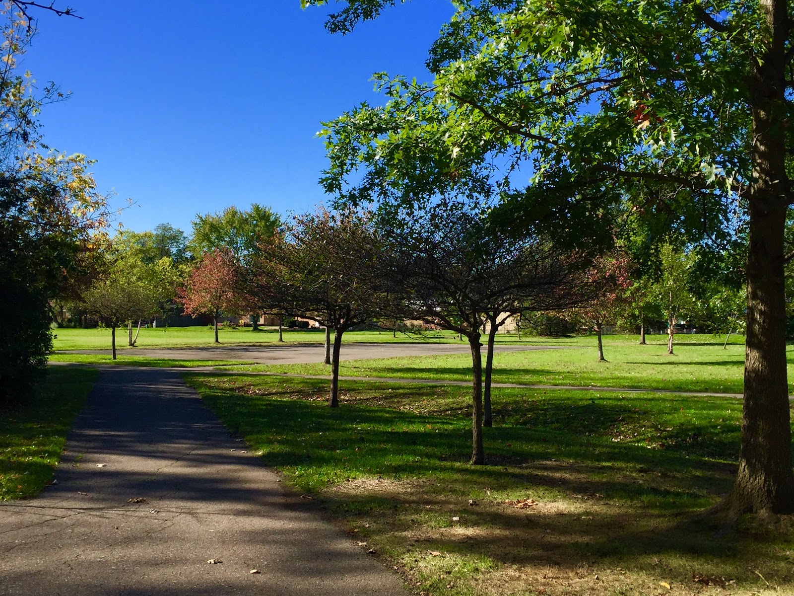 Barchester Park in Canton Township