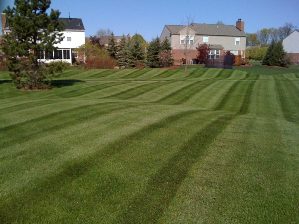 Neher Perfect Lawn and Landscape Services in