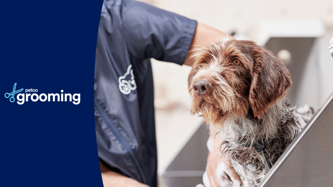 Petco Grooming in Canton Township