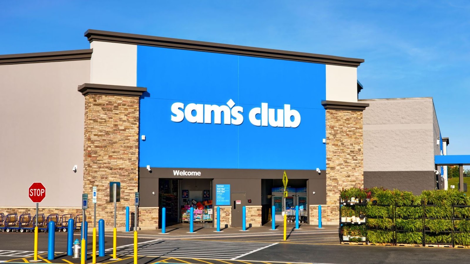 Sam's Club Tire & Battery in Canton Township