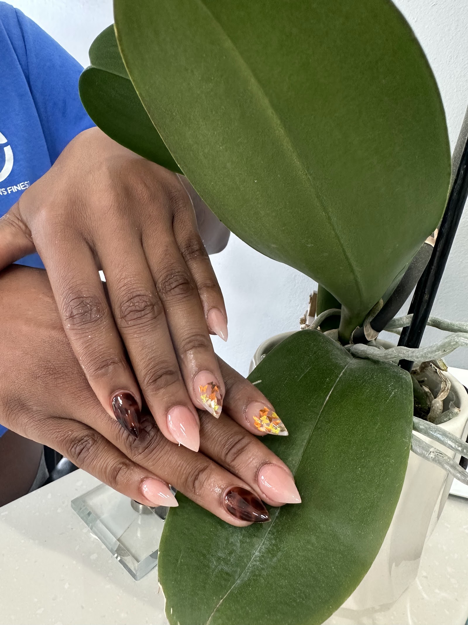 Top Prestige Nails in Canton Township