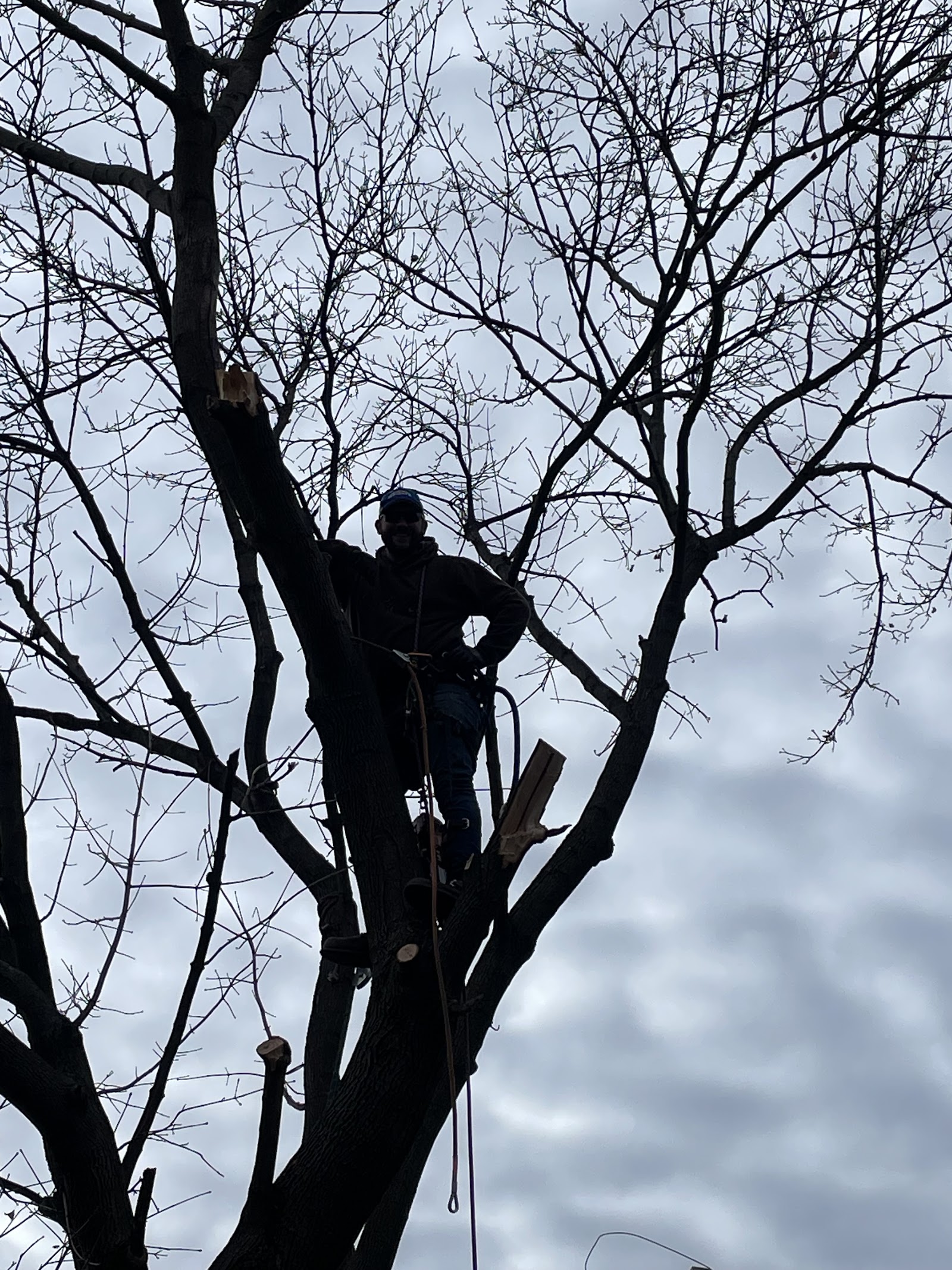 Tree Guys With a Shovel — photo