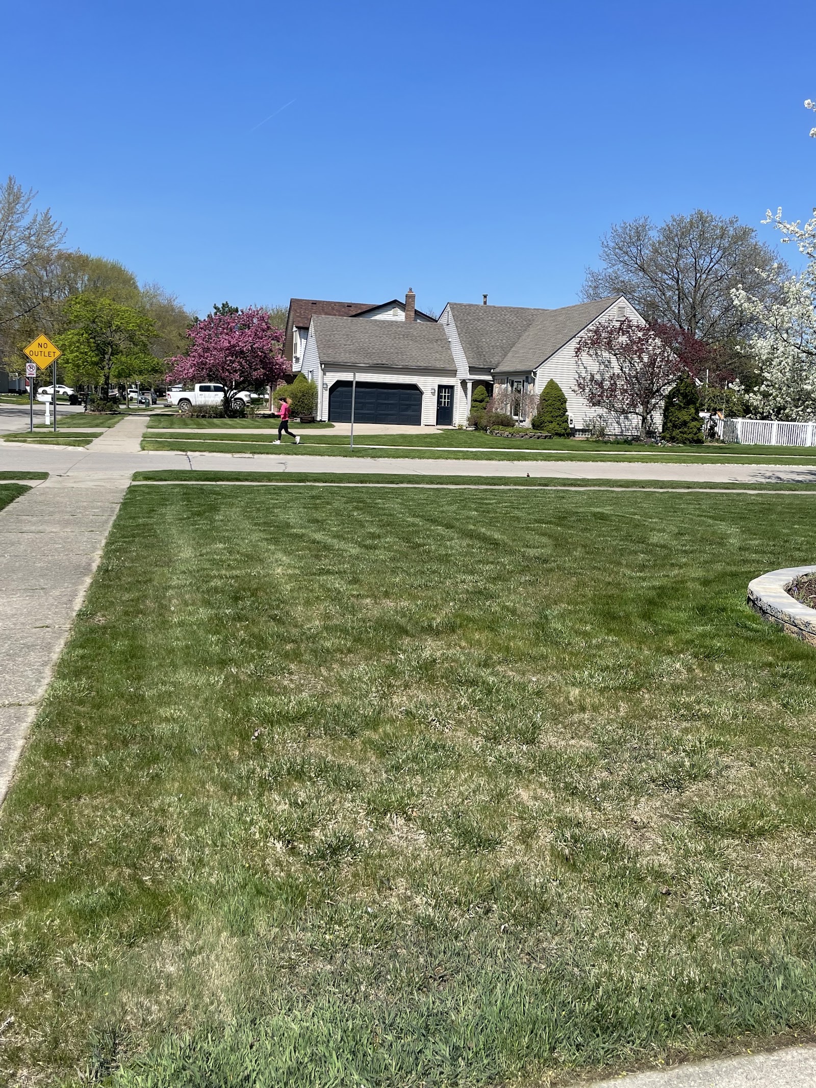Up My Grass — photo