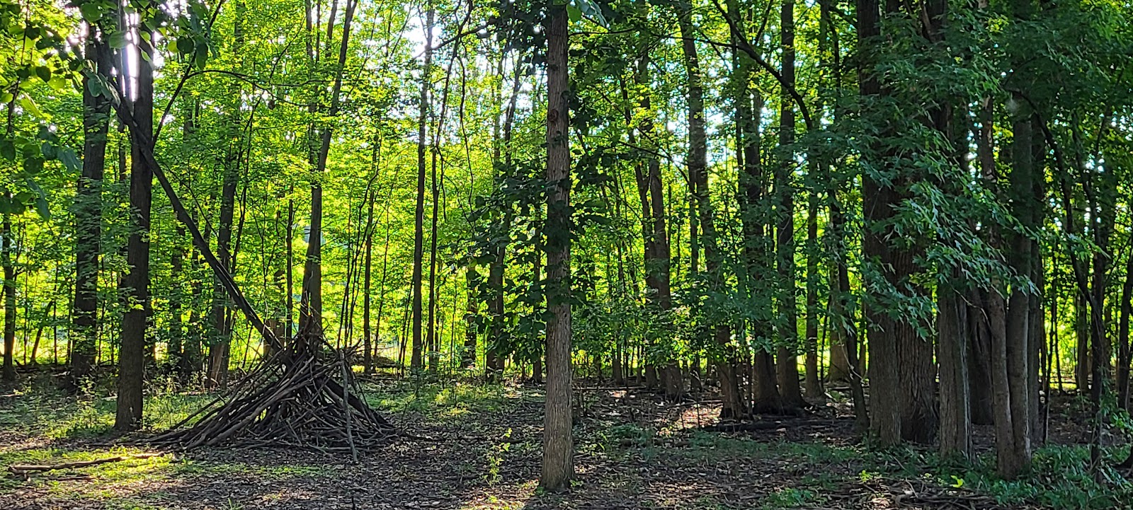 Wagon Wheel Park in Canton Township